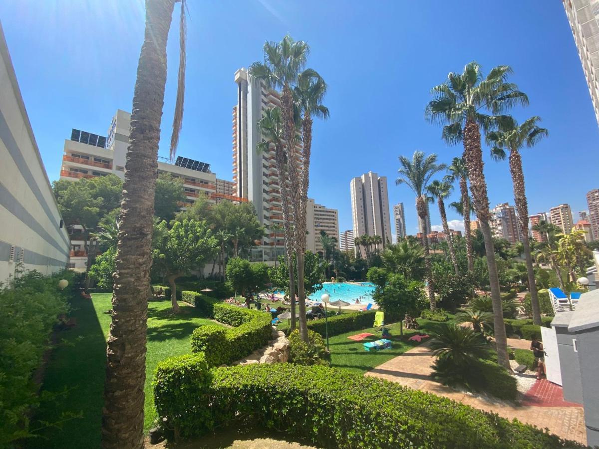 Gemelos 22-2-24 Benidorm Esterno foto